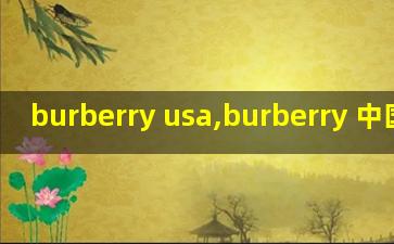 burberry usa,burberry 中国男模